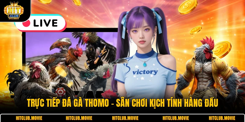 Trực Tiếp Đá Gà Thomo - Sân Chơi Kịch Tính Hàng Đầu
